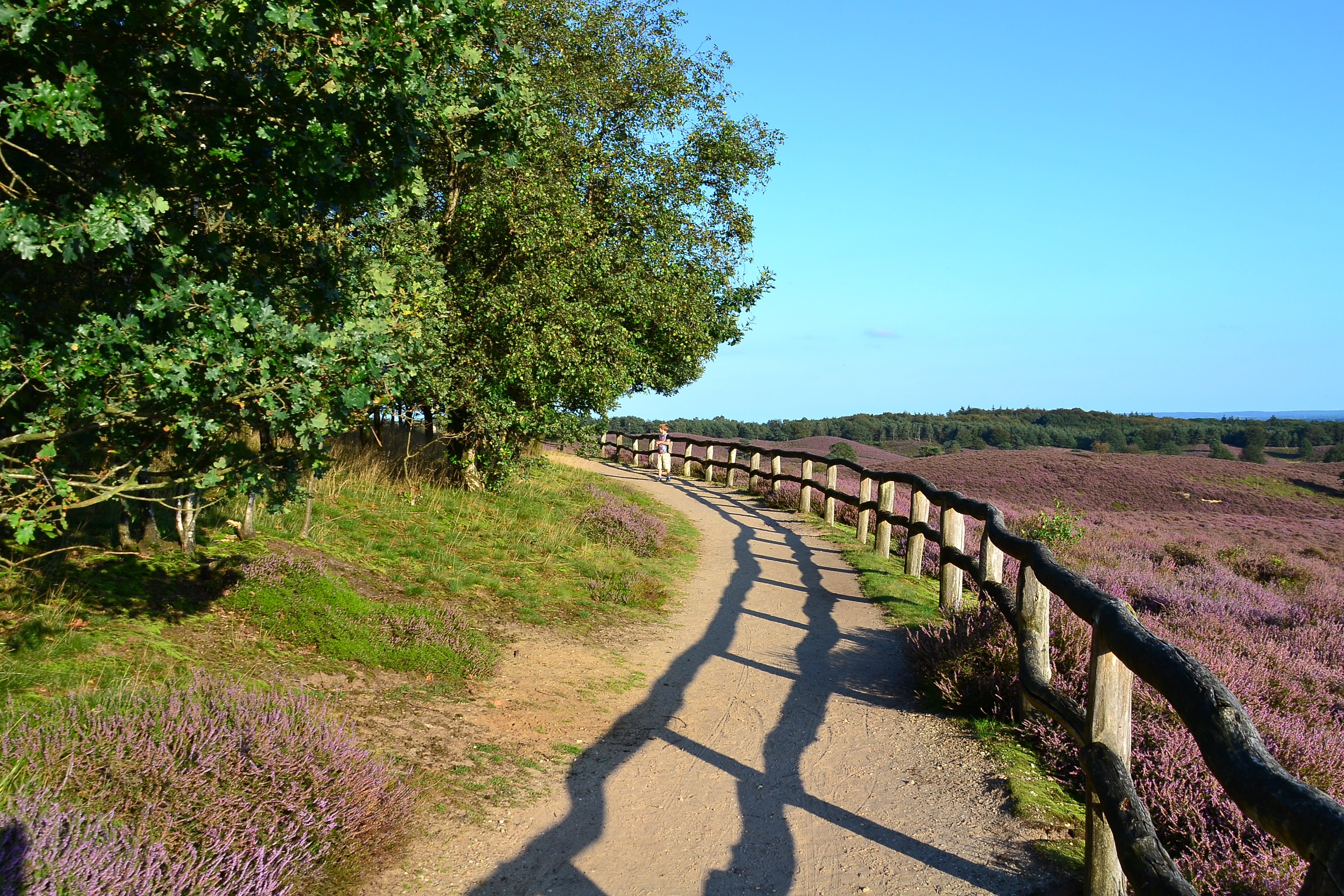 steppen is ook genieten van de omgeving!